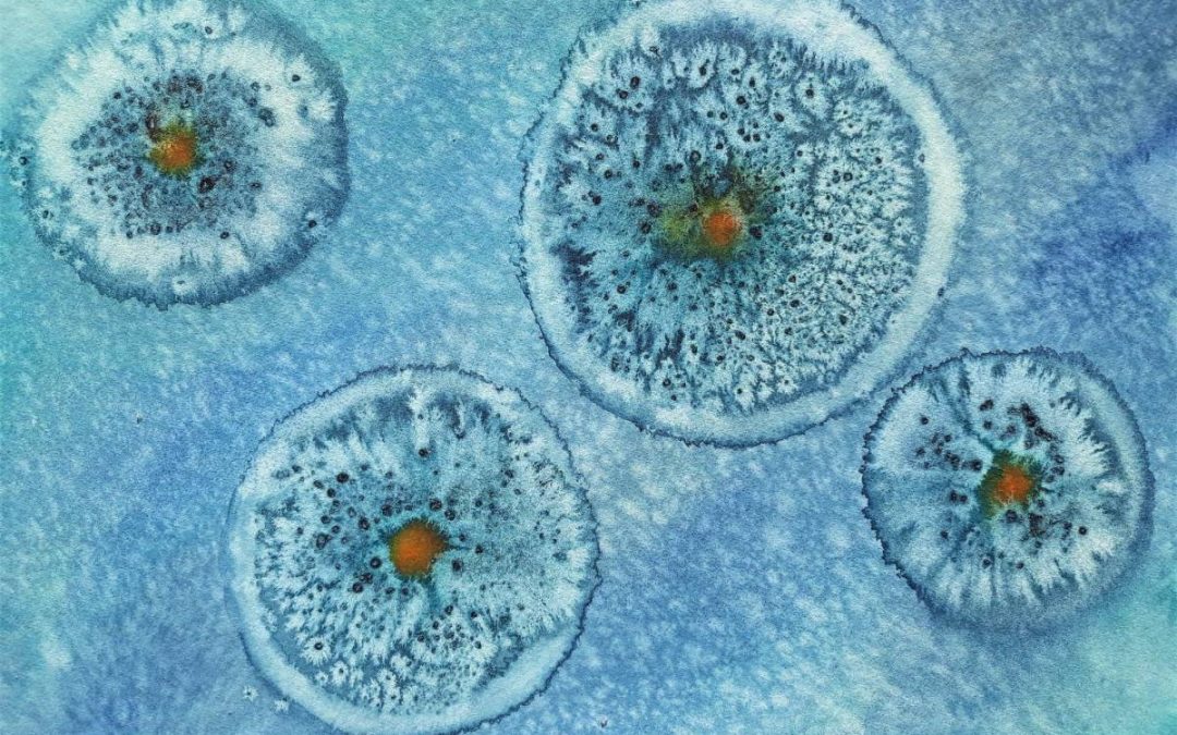 The Water Drop – science and contemporary art