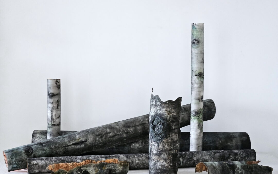 The remains of the forest