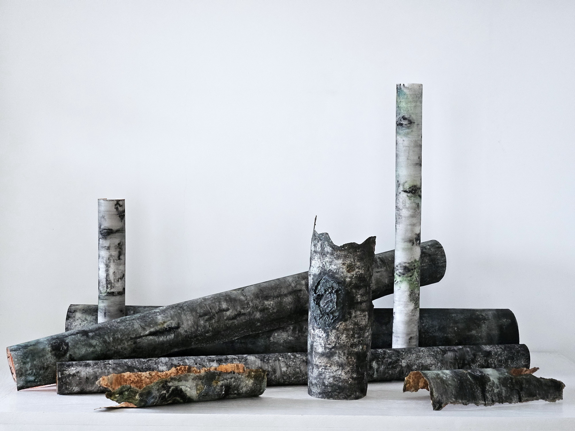 padurea de fag – acuarela lucian muntean 01_resize